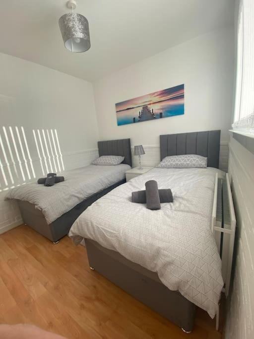 Modern Two Bed House Close To City Centre Belfast Exterior photo