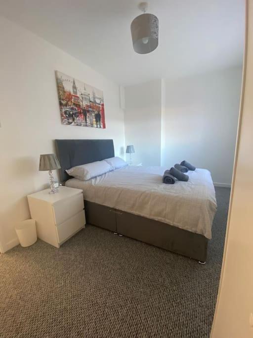 Modern Two Bed House Close To City Centre Belfast Exterior photo